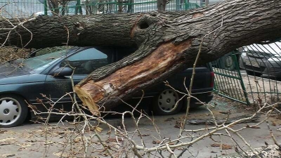 В Москве в результате сегодняшнего штормового ветра 2 человека погибли и 15 пострадали